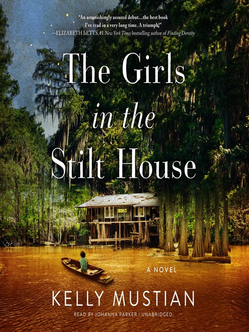 Cover image for The Girls in the Stilt House